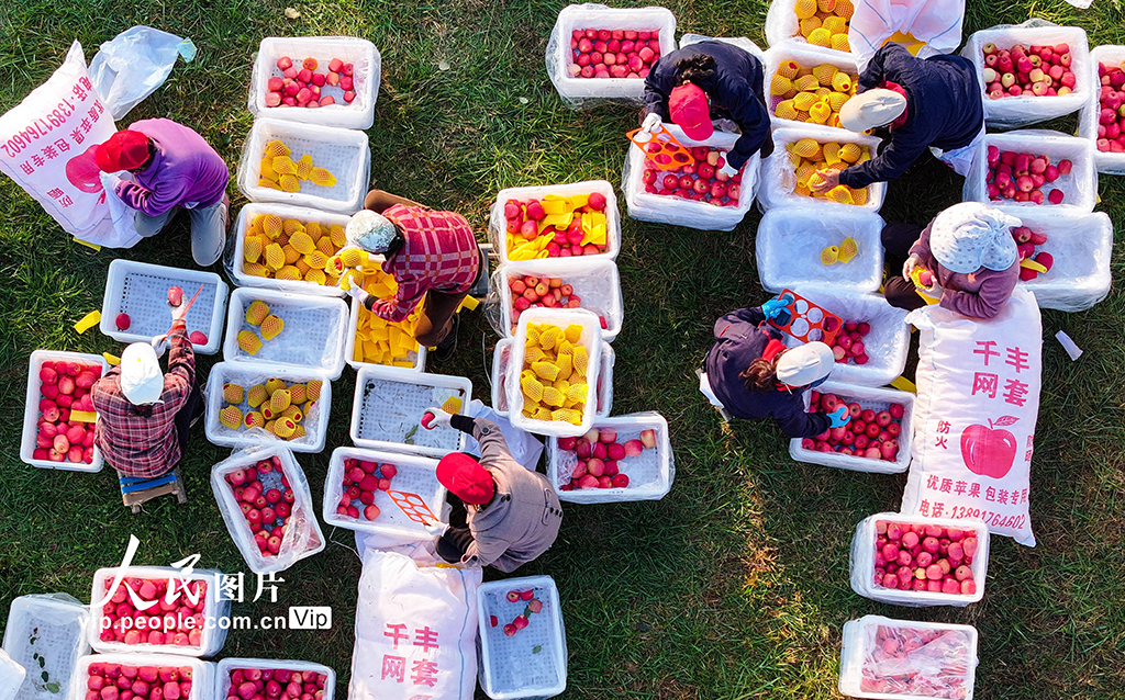 ���ǧꖣ������O���ի@æ